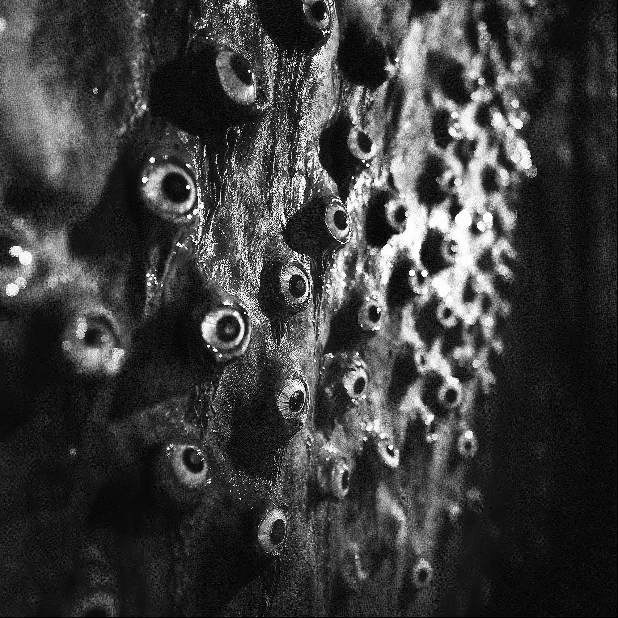 A wall of unblinking eyes star menacingly in the darkness!  Monster Flesh Eyesore Tough Phone Case is the perfect, creepy gift!  Eye hate it!